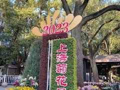 -上海共青森林公园