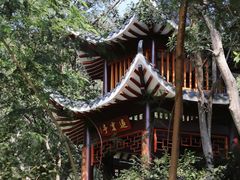 -梧桐山风景名胜区