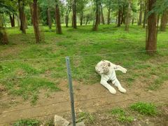 -秦皇岛野生动物园