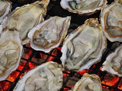 -珠海中海雅高铂尔曼酒店