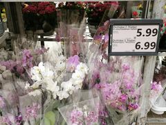 -Kaufland Aachen, Vaalser Str.