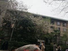 -武汉大学-樱园