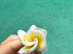 -厦门北海湾惠龙万达嘉华酒店