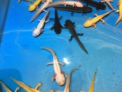 -蓬莱欧乐堡梦幻世界