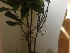 -崇英经络足疗(曲江店)