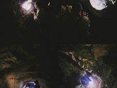 -上海佘山国家森林公园天马山园