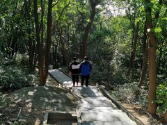 -龙头山森林公园·停车场