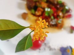 -乾园.魏庐湖景餐厅(花港店)