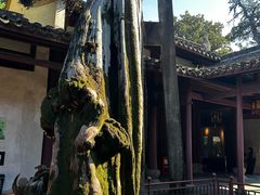 -太平天国侍王府