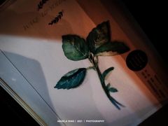 -W CAFE(甜爱路店)