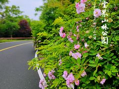-宝界山林公园