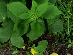 -青峰峡国家森林公园