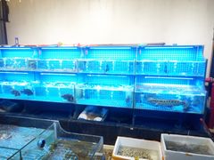 水产区-吉源大排档·鱼生·海鲜(烧烤彩印厂店)