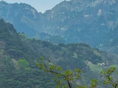 -泰山风景名胜区