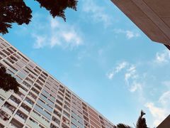-彩虹村