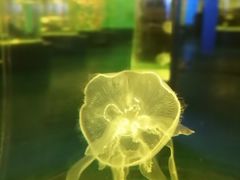 -石林冰雪海洋世界