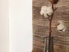 -灶咖KITCHEN