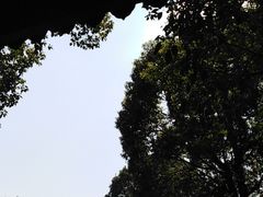 -韩湘水博园