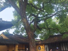 -西园寺素食(西园弄戒幢律寺店)