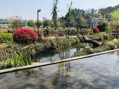 -万景饭店·鱼街农家菜