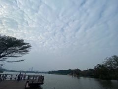 -海珠湖公园