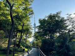 -青岛电视塔