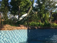 -苏州乐园森林水世界