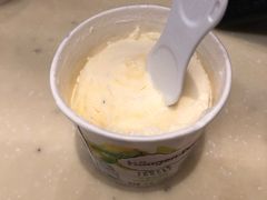 -哈根达斯(扬州瘦西湖店)