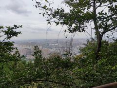 -惠山国家森林公园