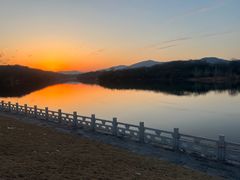 -佛手湖郊野公园