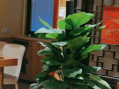 -西贝(六里桥旗舰店)