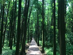 -同里国家湿地公园