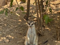 -石家庄市动物园