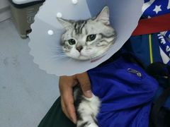 -达爱动物医院·犬猫分区·CT·复杂眼科(远洋山水分院)