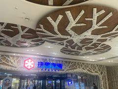 -哈尔滨热雪奇迹