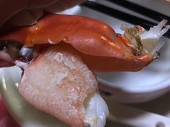 -黄贤山庄