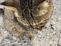 -王尔德与花