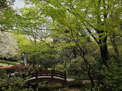 -中国茶叶博物馆(双峰馆区)