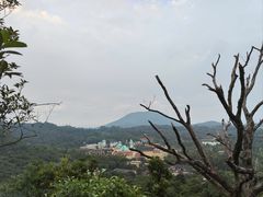 -东部华侨城