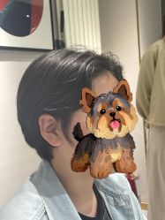 -童辉造型