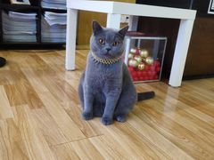 -壹人壹像工作室(购物公园店)