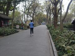 -西湖游船