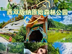 -西双版纳原始森林公园