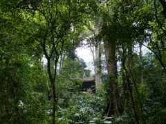 -峨眉山报国寺