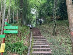 -龙井村