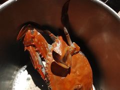 -星伦多自助料理(江阴万达店)