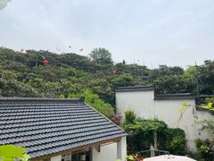 -美味之家·湖景农家乐(太湖东山店)