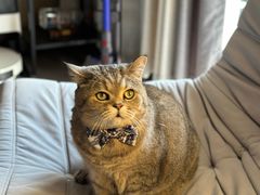 -佳雯宠物医院·皮肤科·内外科(春晓路分院)