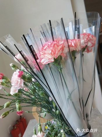 做我的客人我宠你——母亲节献礼