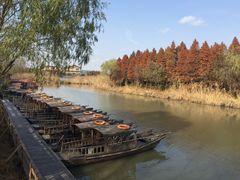 -溱湖国家湿地公园